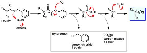 The problem seems to arise from the slow hydrogenation of the sterically-hindered tri -substituted olefin. . Cbz deprotection mechanism hydrogenation